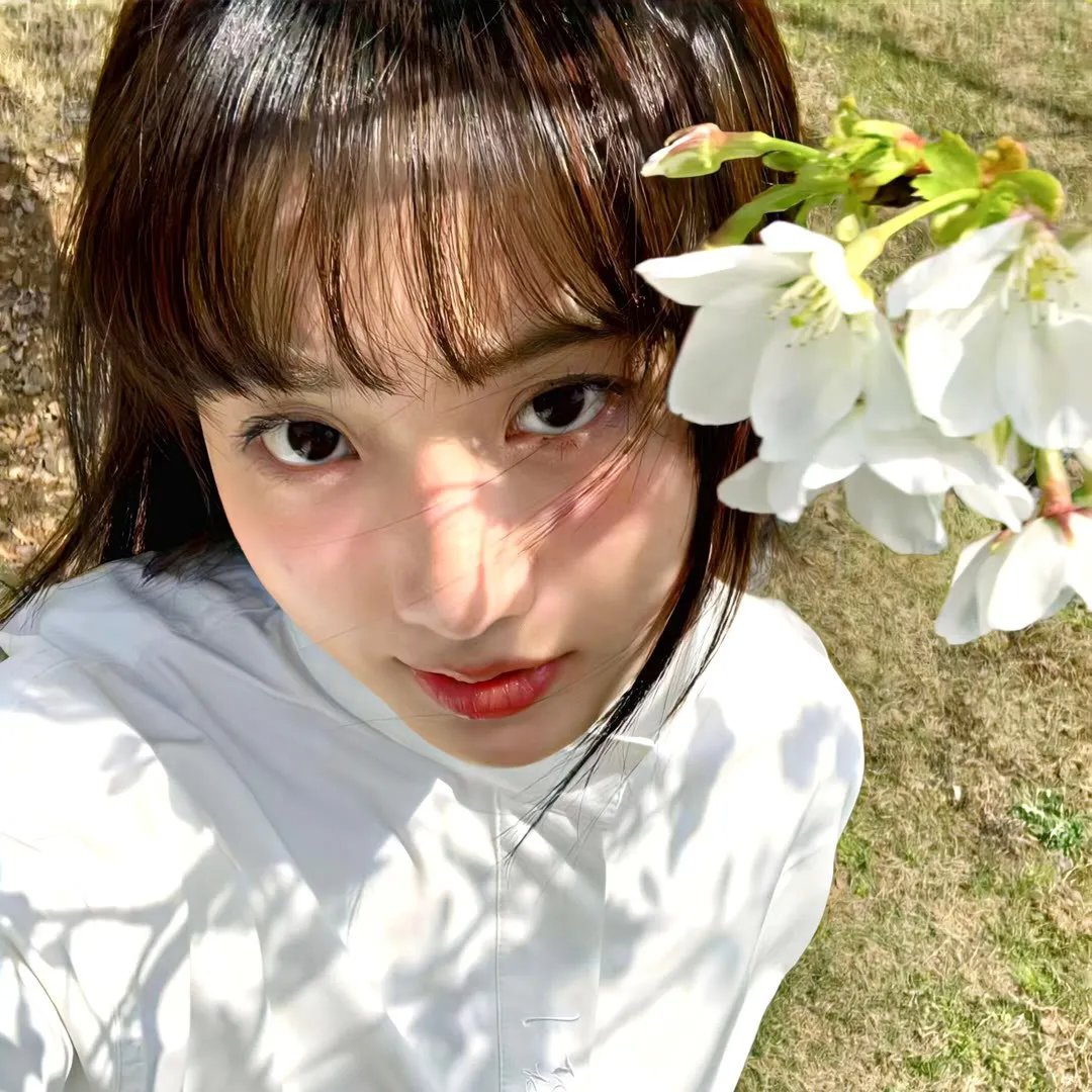今日份的散步